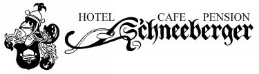 www.hotel-schneeberger.at